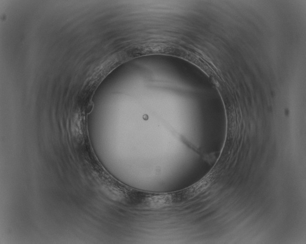 X0000077340126200611031805