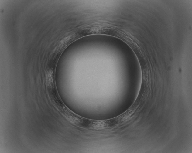 X0000077340127200611031805