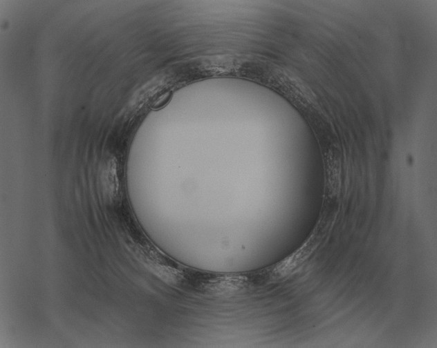 X0000077340128200611031805