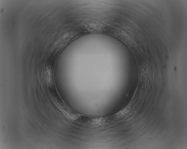 X0000077340130200611031805