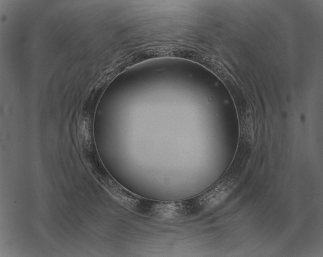 X0000077340131200611031805