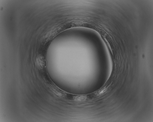 X0000077340135200611031805