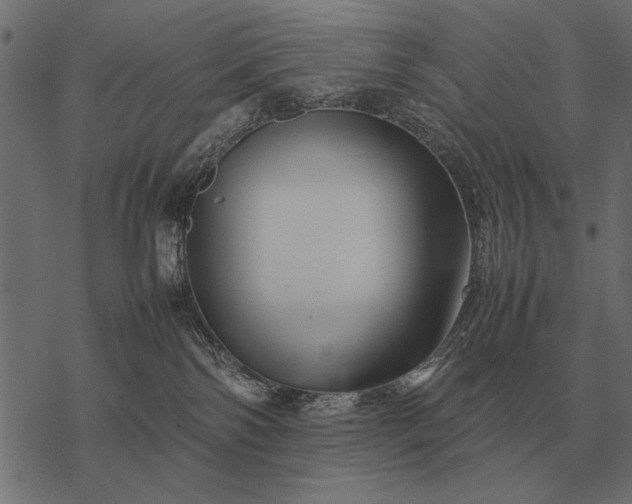 X0000077340138200611031805