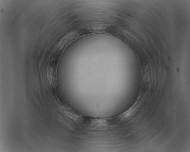 X0000077340140200611031805