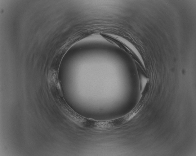 X0000077340141200611031805