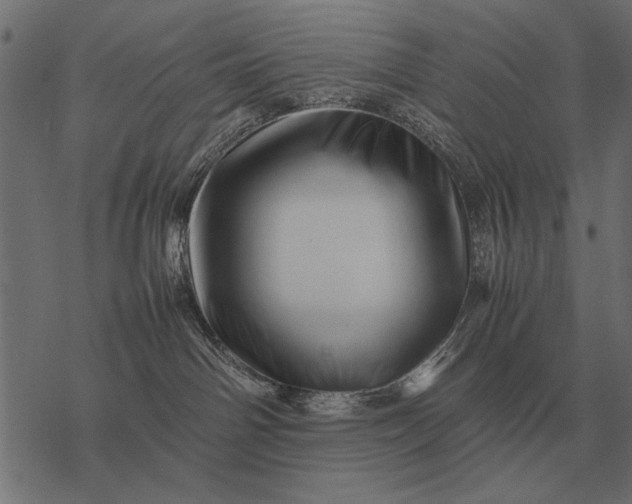 X0000077340142200611031805