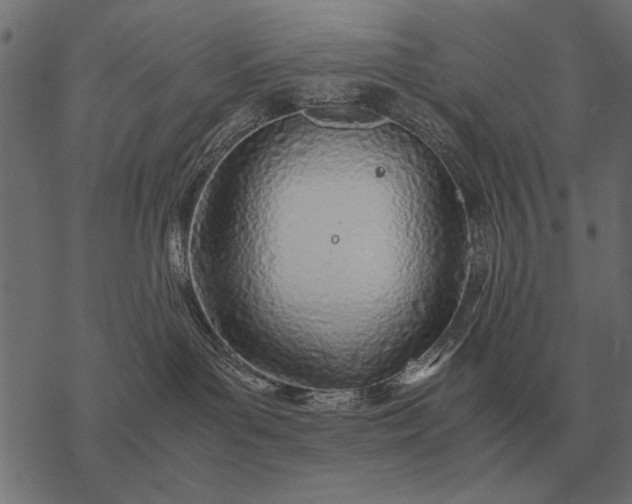 X0000077340143200611031805