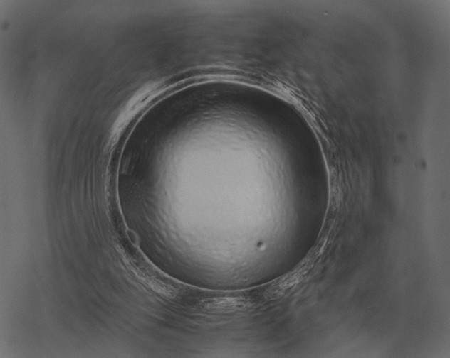X0000077340151200611031804