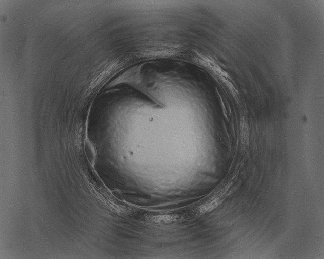 X0000077340153200611031804
