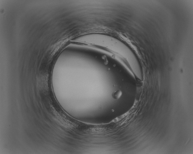 X0000077340154200611031804