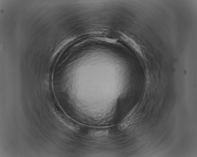 X0000077340155200611031804