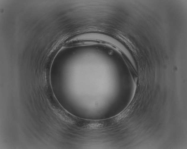 X0000077340158200611031804