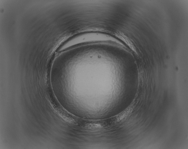 X0000077340159200611031804