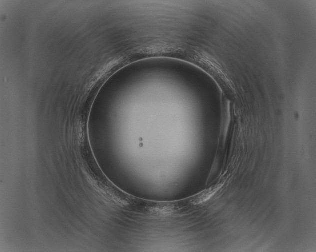 X0000077340164200611031804
