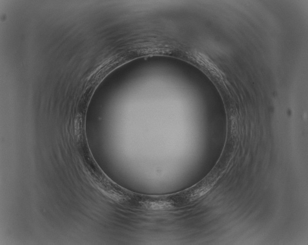 X0000077340165200611031804