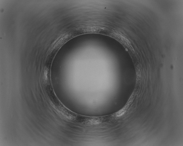 X0000077340166200611031804