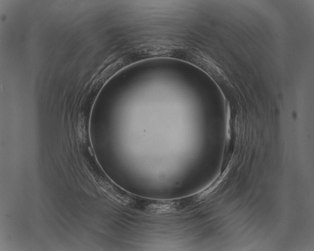 X0000077340170200611031804