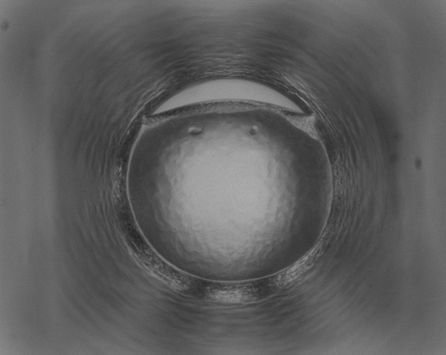 X0000077340171200611031804