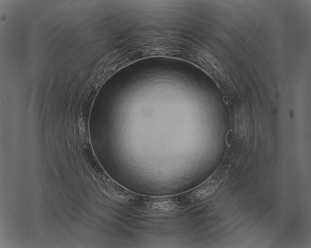 X0000077340173200611031804