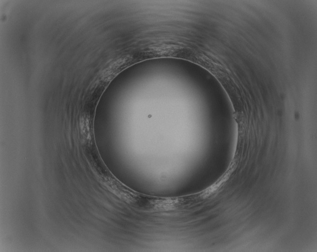 X0000077340182200611031805