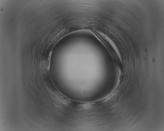 X0000077340184200611031805