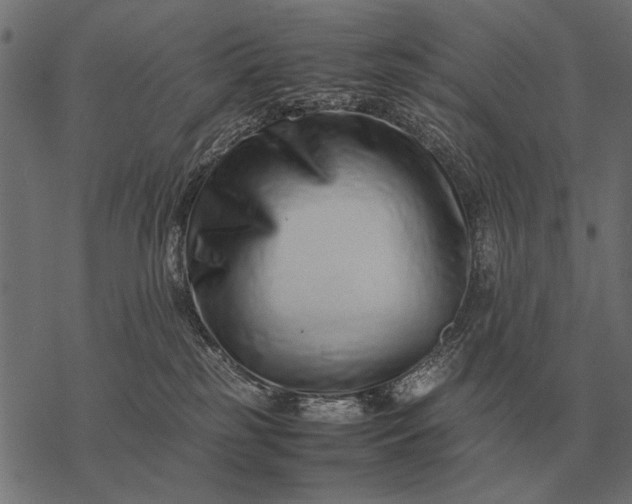 X0000077340185200611031805