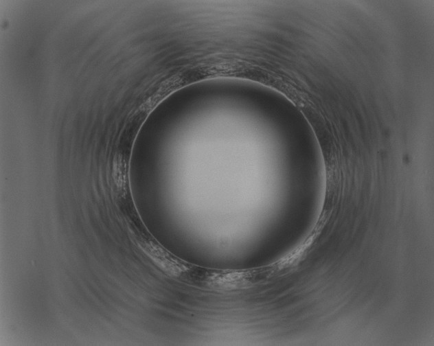 X0000077340186200611031805