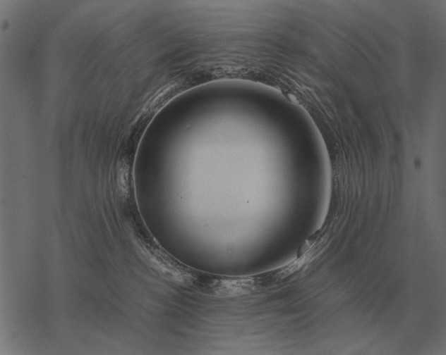 X0000077340188200611031805