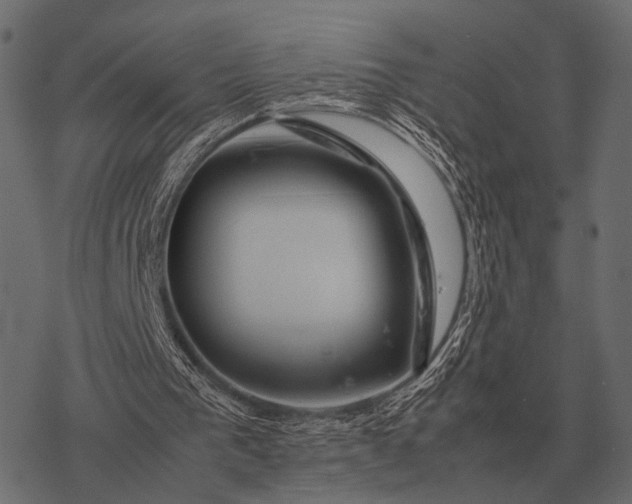 X0000077340193200611031804