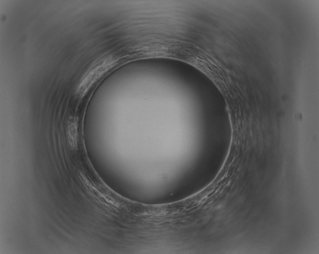 X0000077340194200611031804