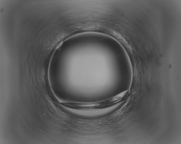 X0000077340201200611031804