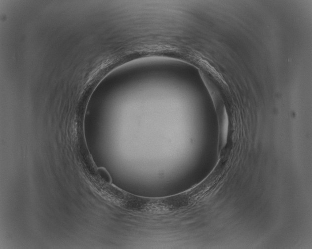 X0000077340207200611031804