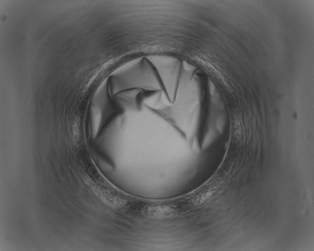 X0000077340208200611031804