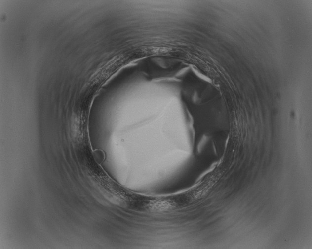 X0000077340218200611031803