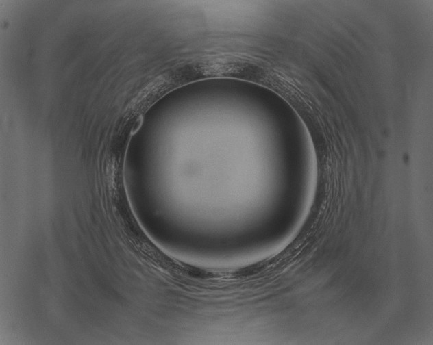 X0000077340219200611031803