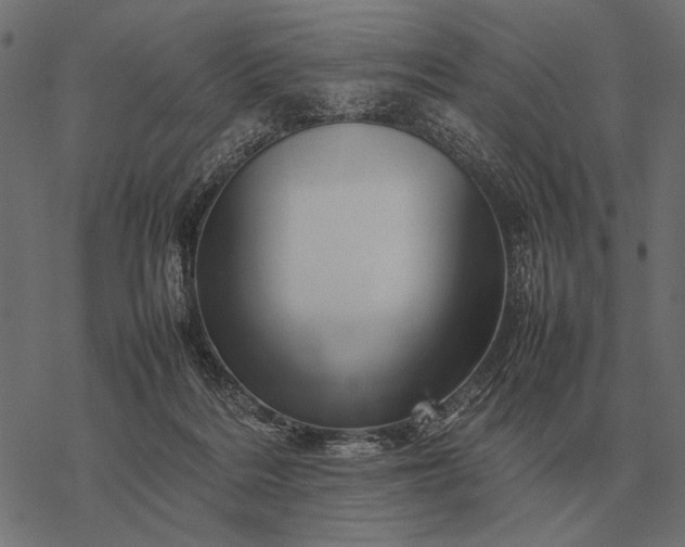 X0000077340220200611031803