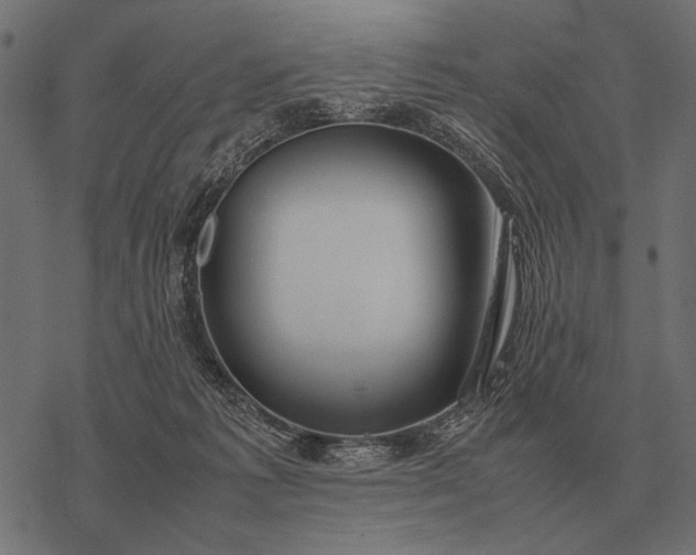 X0000077340221200611031803