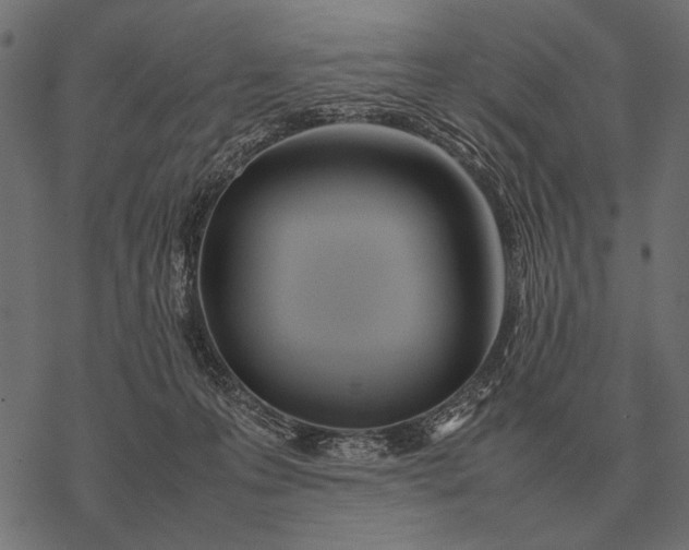 X0000077340223200611031803