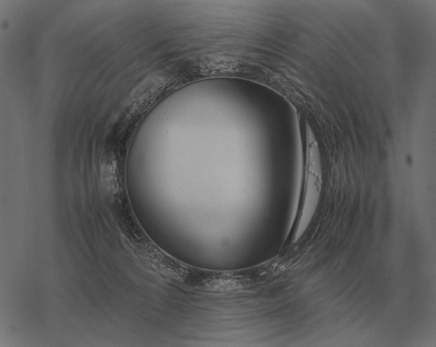 X0000077340224200611031803