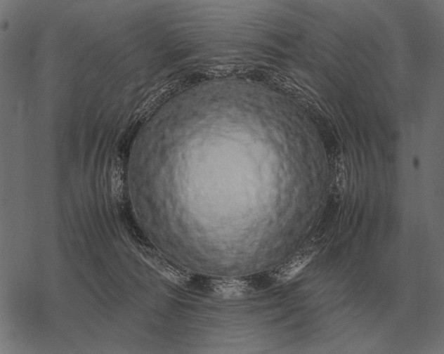 X0000077340226200611031803