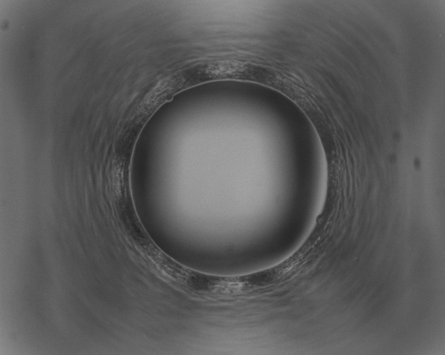 X0000077340227200611031803