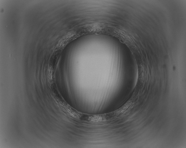 X0000077340230200611031803