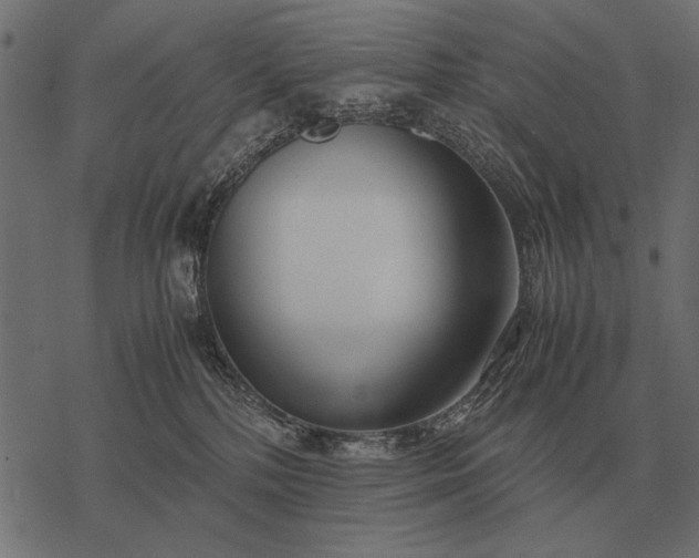 X0000077340232200611031803