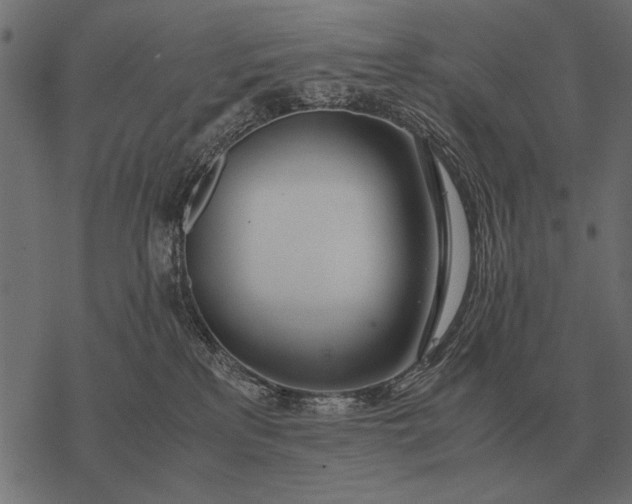 X0000077340233200611031803