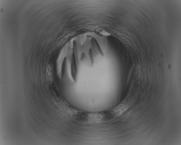 X0000077340234200611031803