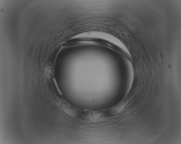 X0000077340235200611031803
