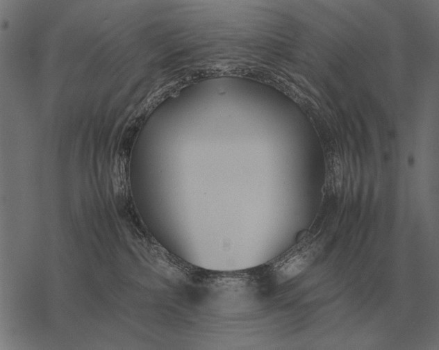 X0000077340236200611031803