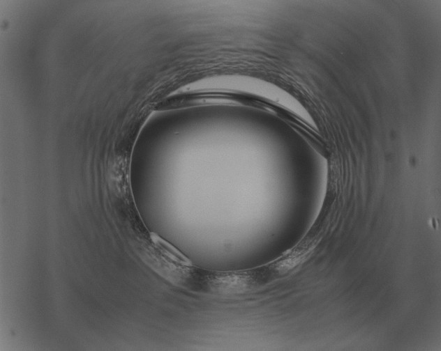 X0000077340237200611031803