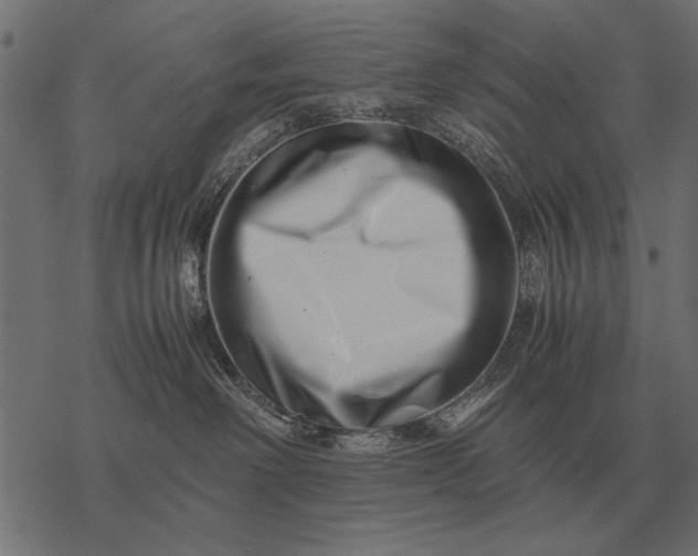 X0000077340238200611031803