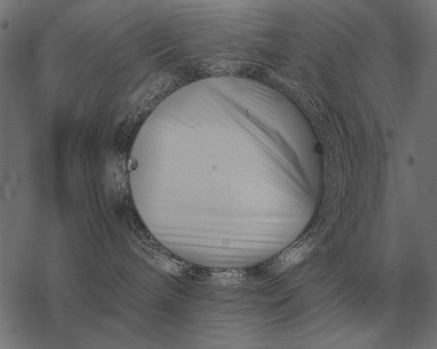 X0000077340240200611031803